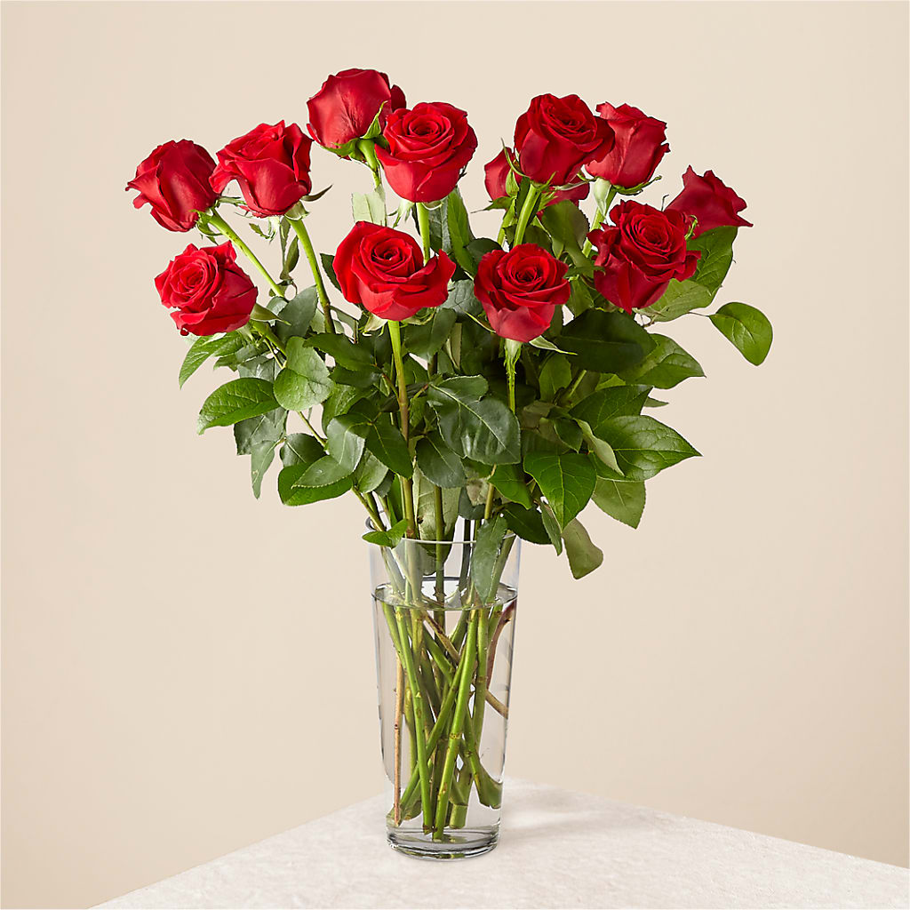 Long Stem Red Rose Bouquet – BAYSORE'S FLOWER SHOP LLC, Mason OH