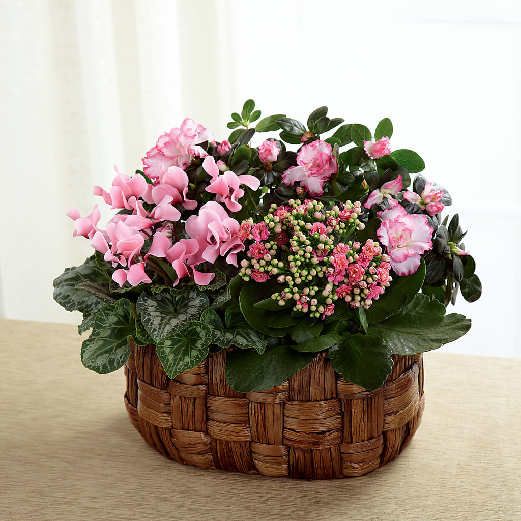 Pink Assortment – BAYSORE'S FLOWER SHOP LLC, Mason OH