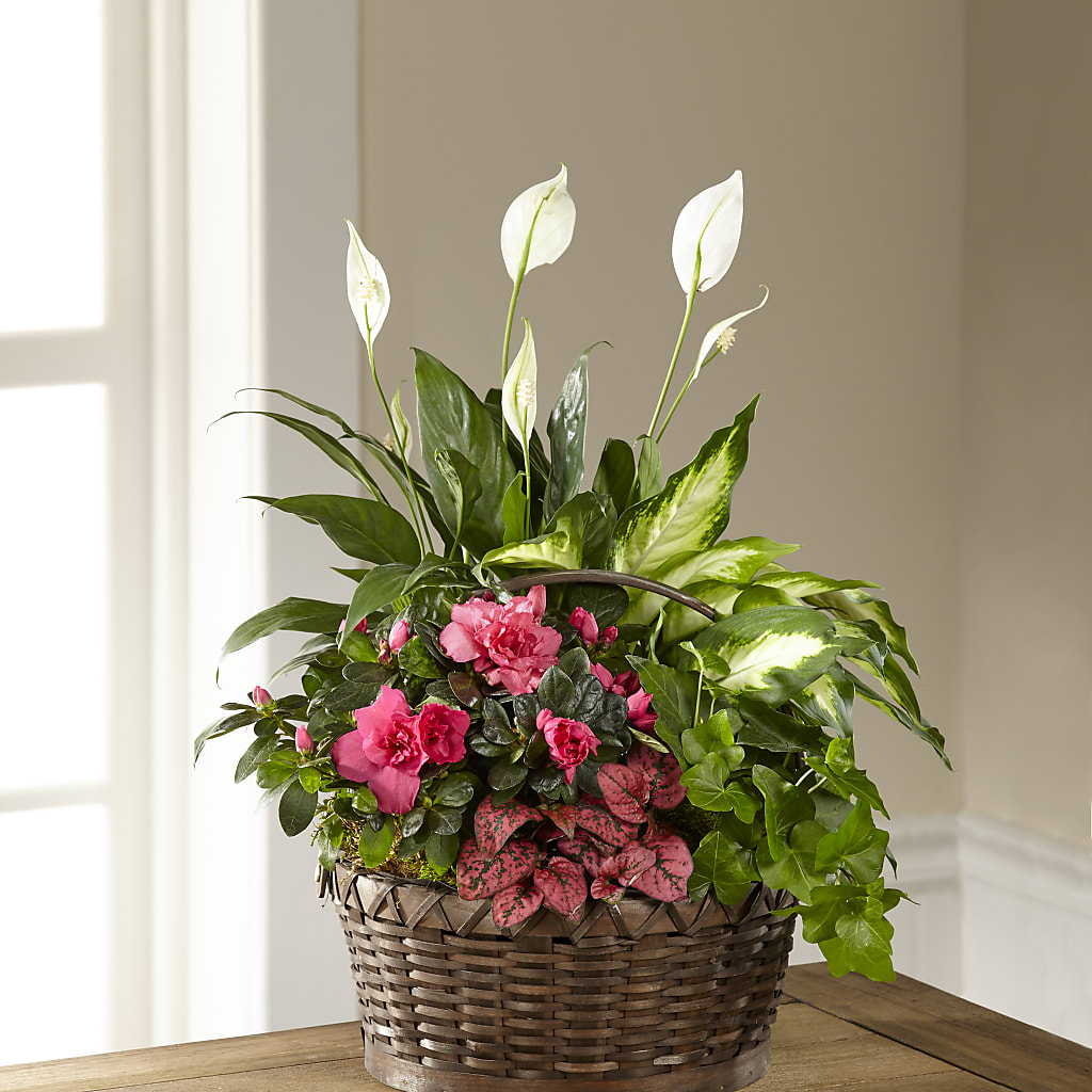 Dream in Pink Dishgarden – BAYSORE'S FLOWER SHOP LLC, Mason OH