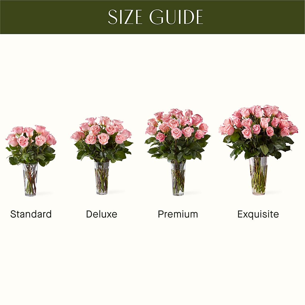 Long Stem Pink Rose Bouquet – BAYSORE'S FLOWER SHOP LLC, Mason OH