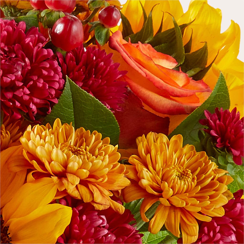 Sweater Season - A Florist Original – BAYSORE'S FLOWER SHOP LLC, Mason OH