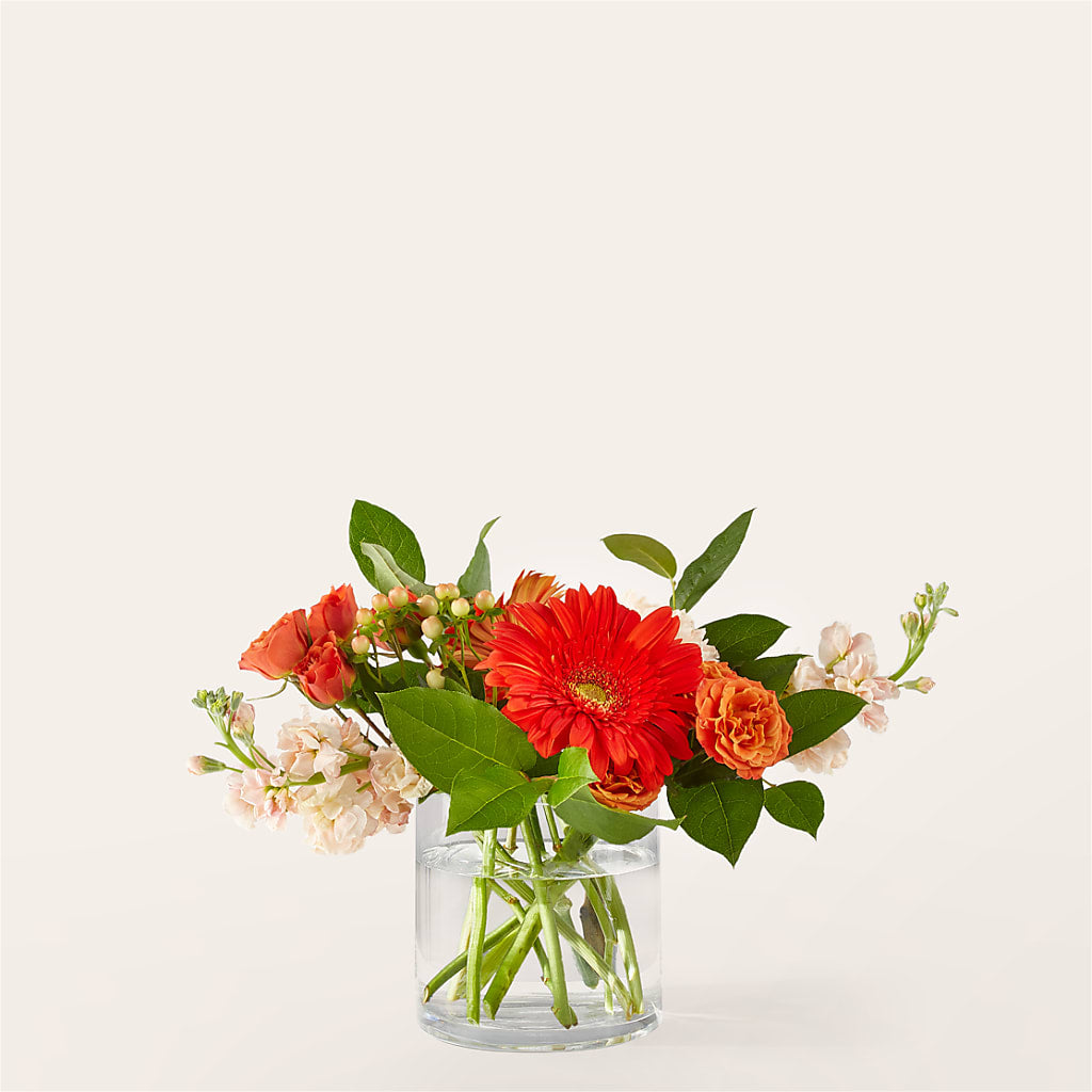 Paloma Please Bouquet – BAYSORE'S FLOWER SHOP LLC, Mason OH
