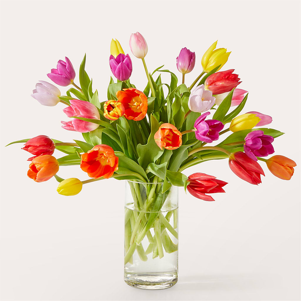 Let's Talk Tulips Bouquet – BAYSORE'S FLOWER SHOP LLC, Mason OH