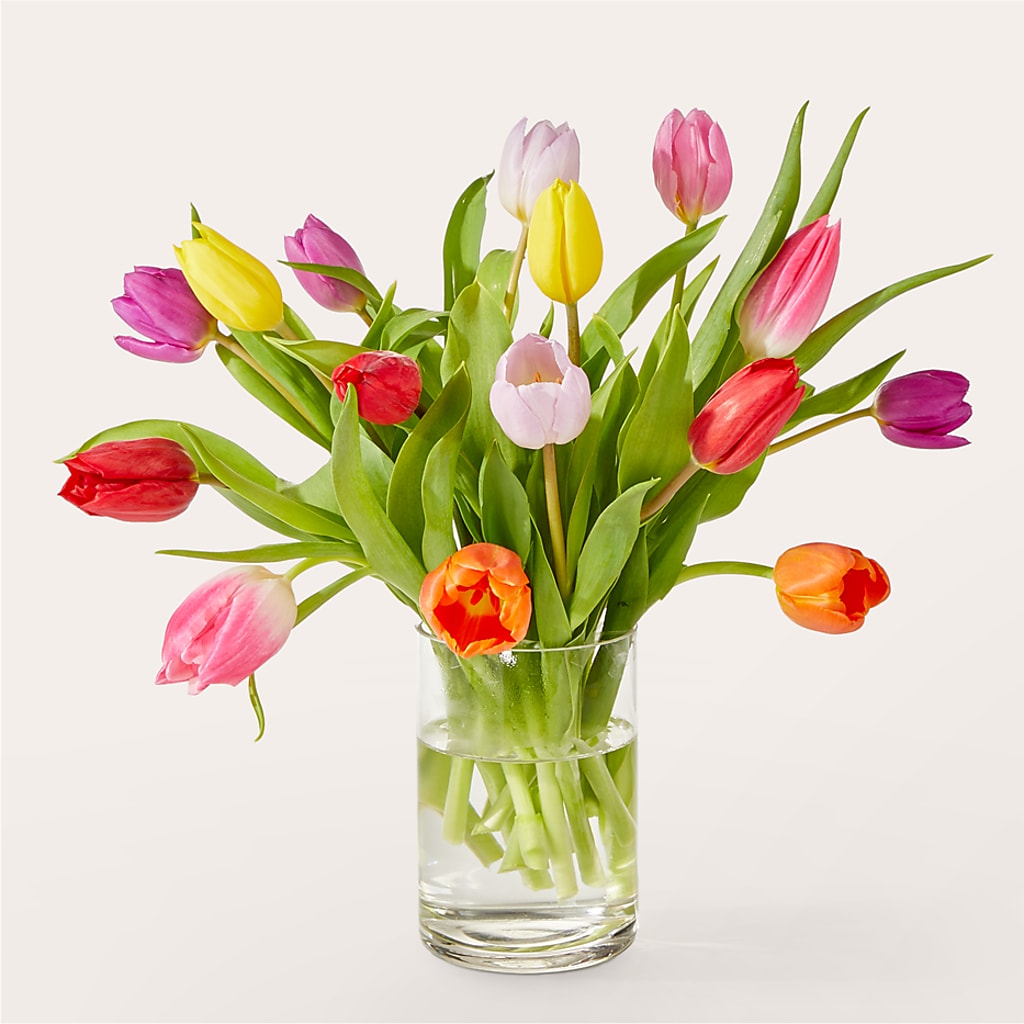 Let's Talk Tulips Bouquet – BAYSORE'S FLOWER SHOP LLC, Mason OH