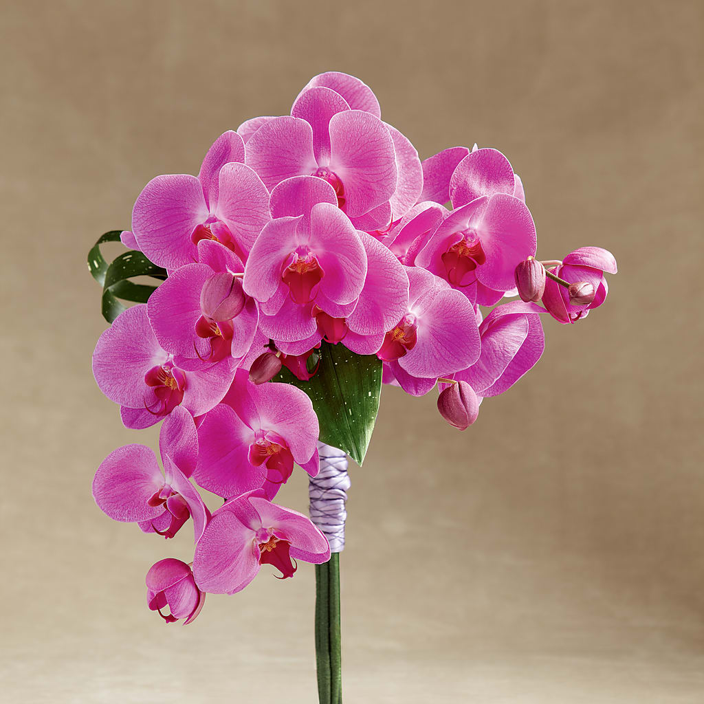 Glorious Bouquet – BAYSORE'S FLOWER SHOP LLC, Mason OH