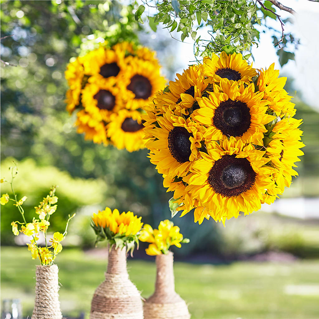 Sublime Garden Hanging Arrangement – BAYSORE'S FLOWER SHOP LLC, Mason OH