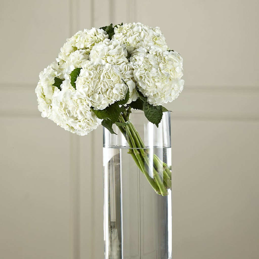 White Hydrangea Hand-Tied Bouquet – BAYSORE'S FLOWER SHOP LLC, Mason OH