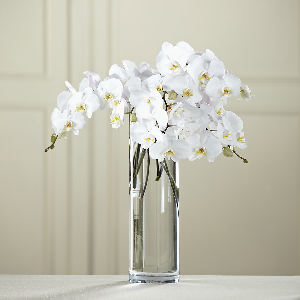 White Phalaenopsis Bouquet – BAYSORE'S FLOWER SHOP LLC, Mason OH