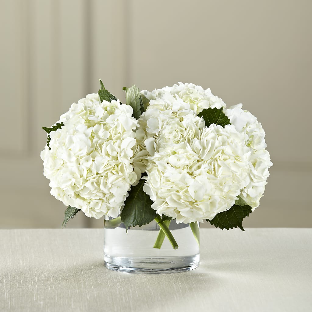 White Hydrangea Bouquet – BAYSORE'S FLOWER SHOP LLC, Mason OH