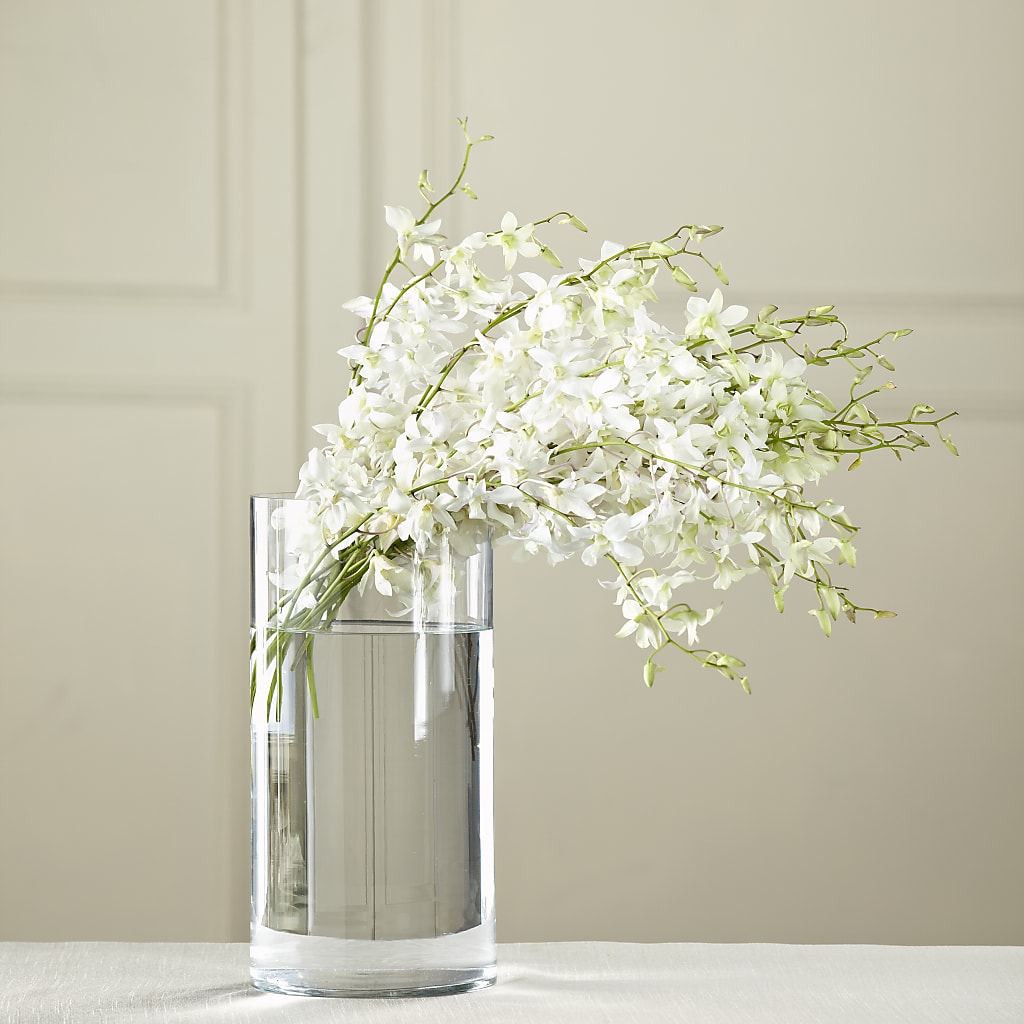 White Dendrobium Bouquet – BAYSORE'S FLOWER SHOP LLC, Mason OH