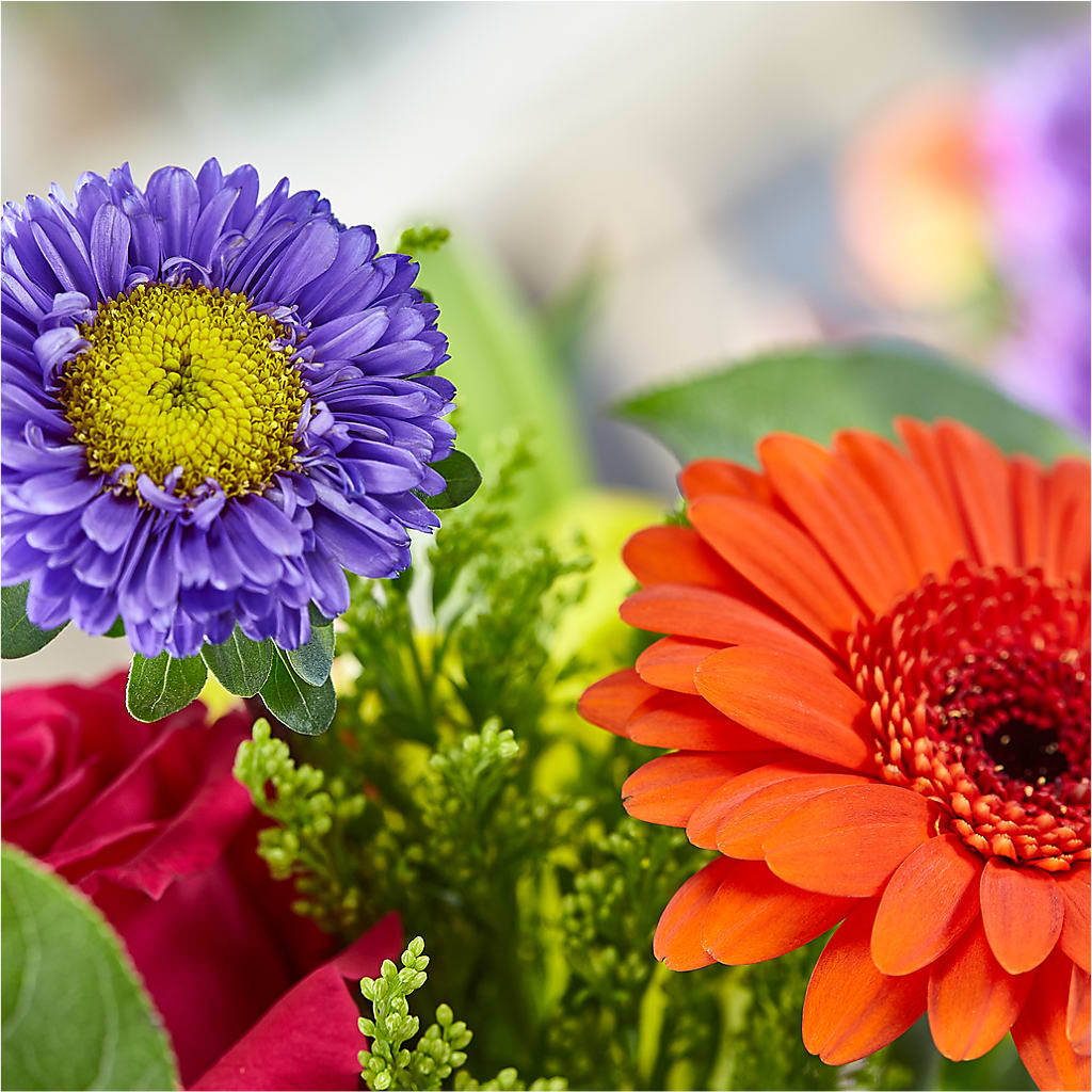 Bold & Bright – A Florist Original – BAYSORE'S FLOWER SHOP LLC, Mason OH