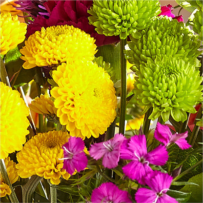 Bold & Bright – A Florist Original – BAYSORE'S FLOWER SHOP LLC, Mason OH