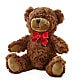 Adorable Plush Bear – BAYSORE'S FLOWER SHOP LLC, Mason OH