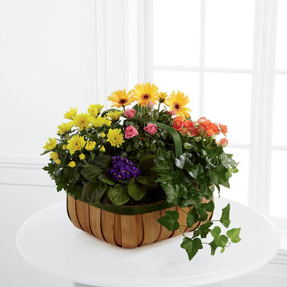 Gentle Blossoms Basket – BAYSORE'S FLOWER SHOP LLC, Mason OH