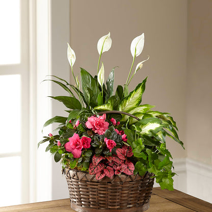 Dream in Pink Dishgarden – BAYSORE'S FLOWER SHOP LLC, Mason OH