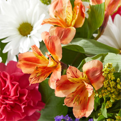 Oopsie Daisy Box Bouquet – BAYSORE'S FLOWER SHOP LLC, Mason OH