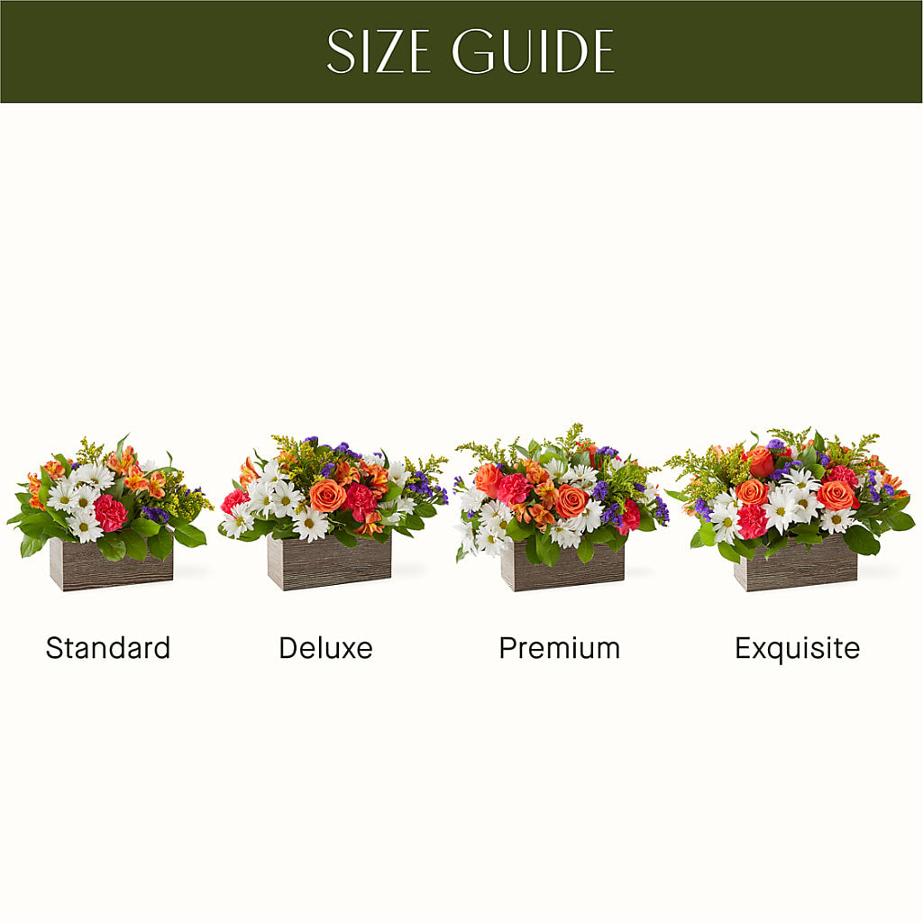 Oopsie Daisy Box Bouquet – BAYSORE'S FLOWER SHOP LLC, Mason OH