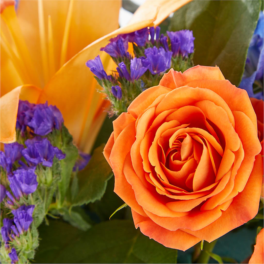 Radiant Citrus Box Bouquet – BAYSORE'S FLOWER SHOP LLC, Mason OH