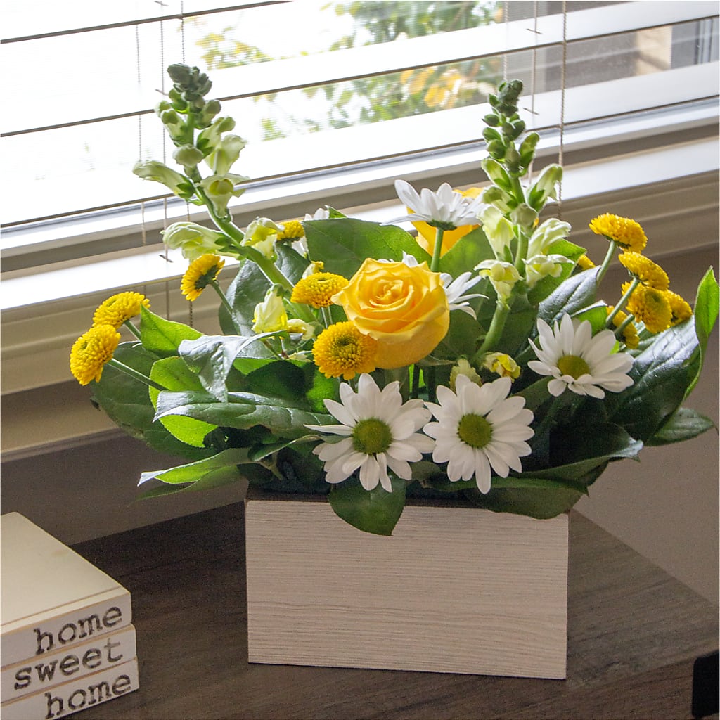 Sun Salutation Box Bouquet – BAYSORE'S FLOWER SHOP LLC, Mason OH
