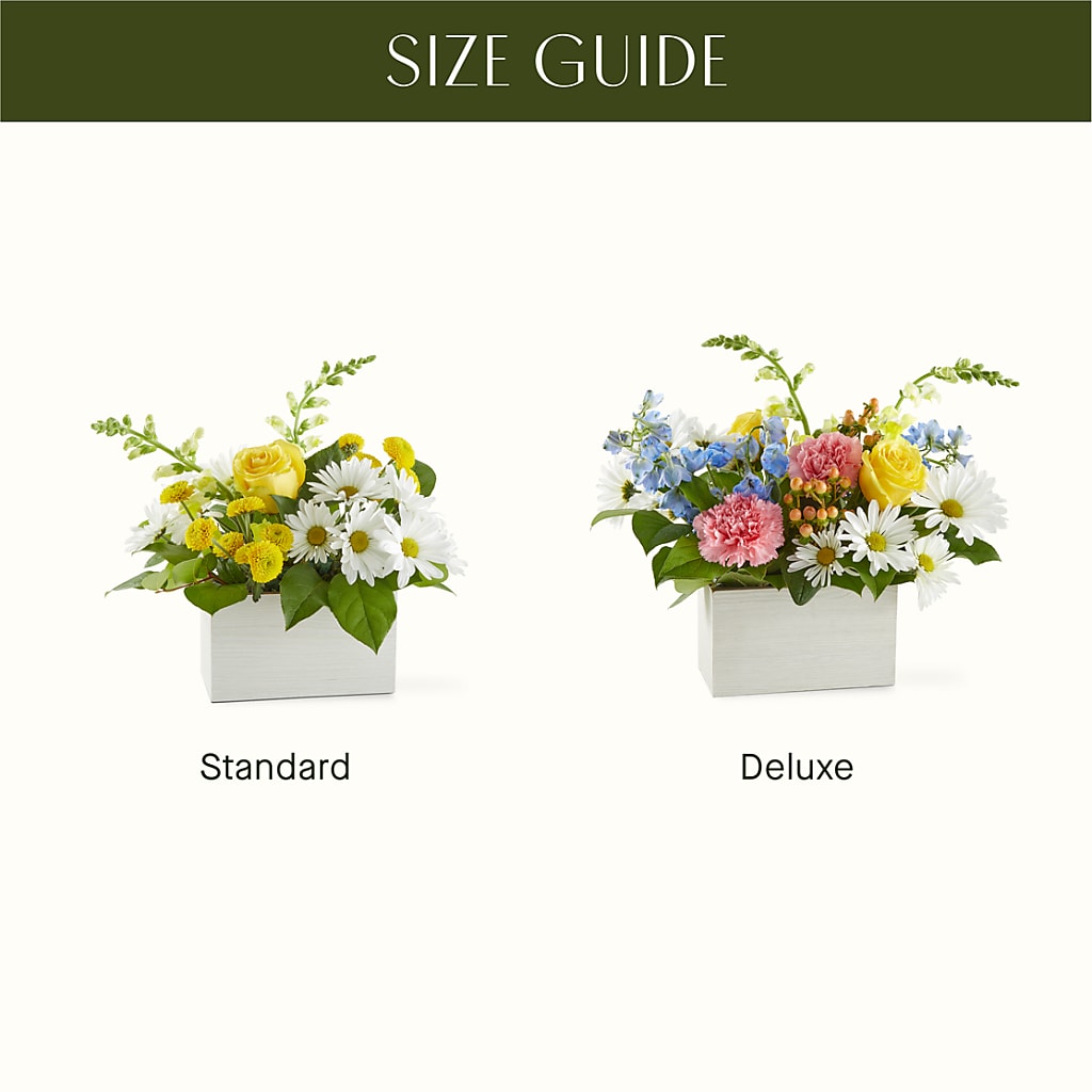 Sun Salutation Box Bouquet – BAYSORE'S FLOWER SHOP LLC, Mason OH