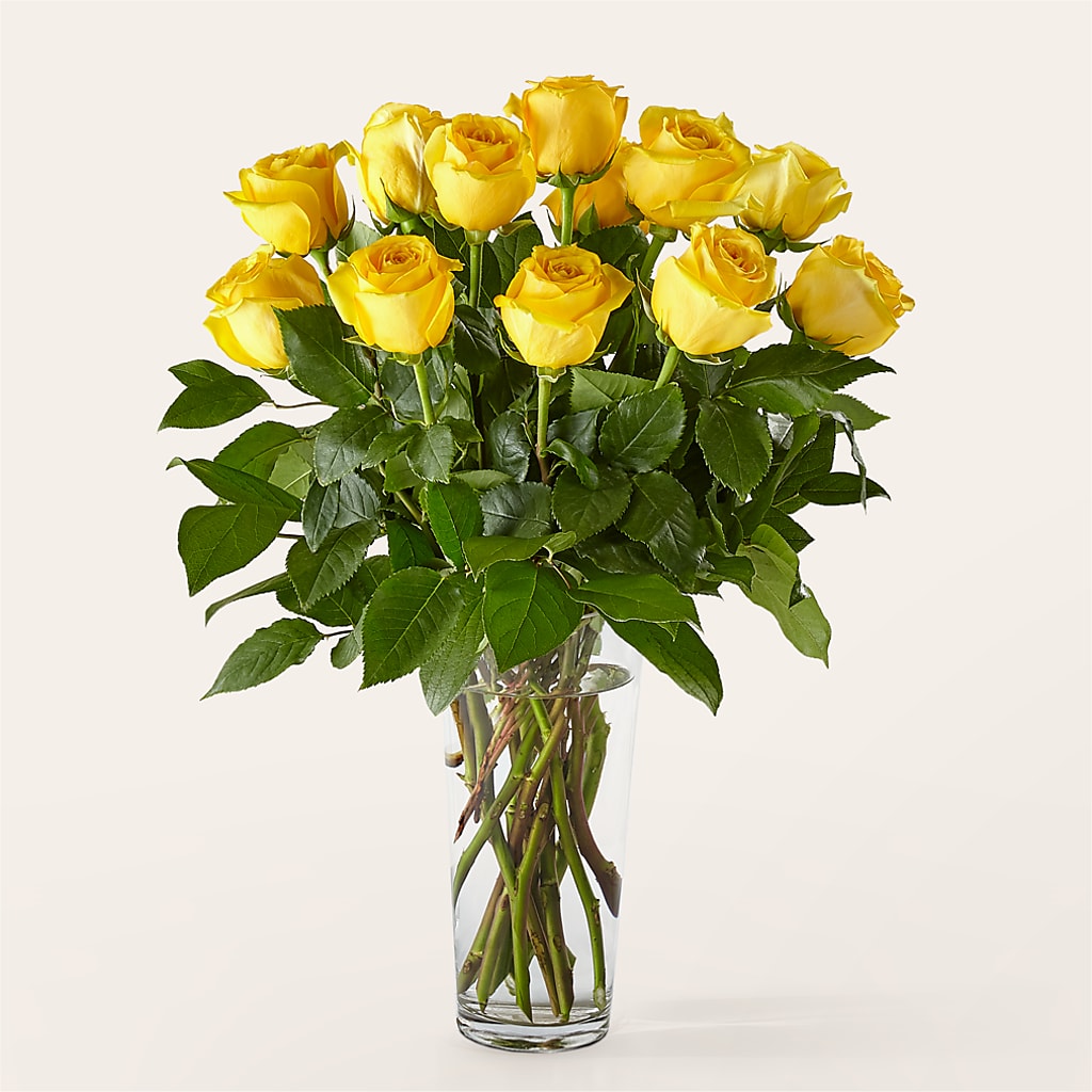 Long Stem Yellow Rose Bouquet – BAYSORE'S FLOWER SHOP LLC, Mason OH
