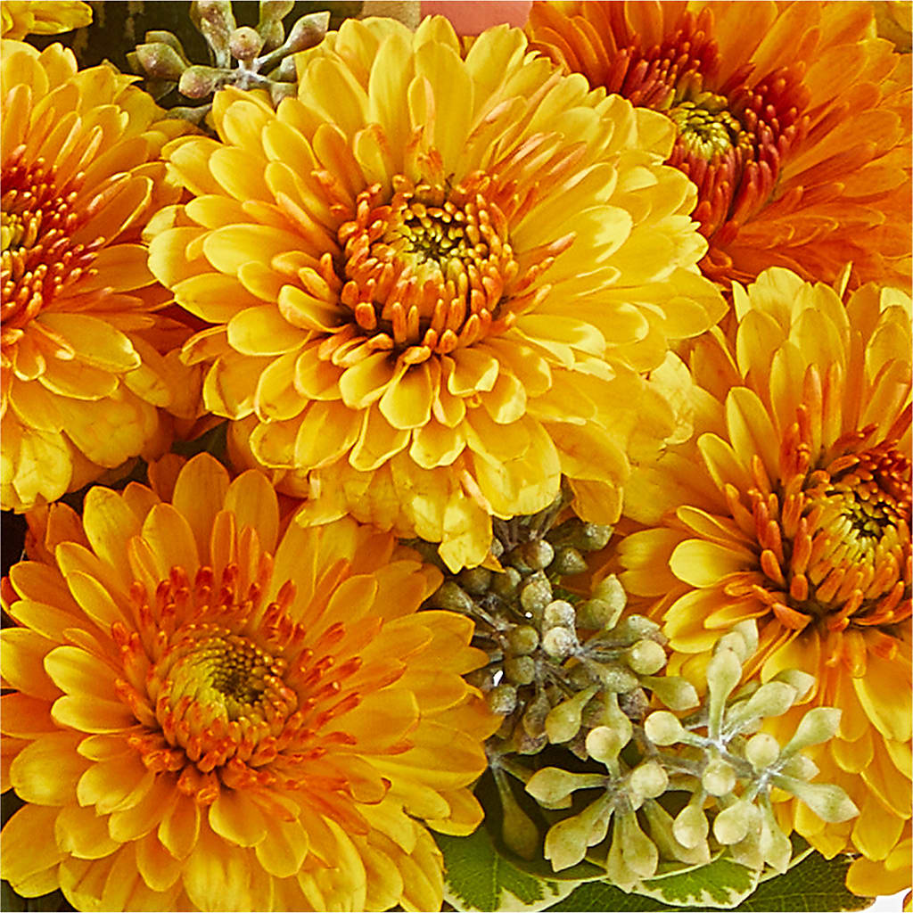 Peachy Pumpkin – BAYSORE'S FLOWER SHOP LLC, Mason OH