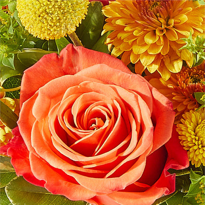 Gourdgeous Pumpkin – BAYSORE'S FLOWER SHOP LLC, Mason OH