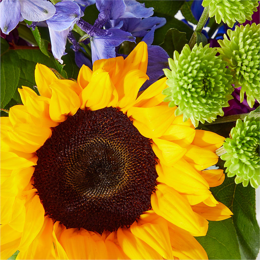 Catching Rays Bouquet – BAYSORE'S FLOWER SHOP LLC, Mason OH