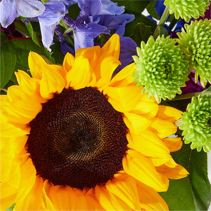Catching Rays Bouquet – BAYSORE'S FLOWER SHOP LLC, Mason OH
