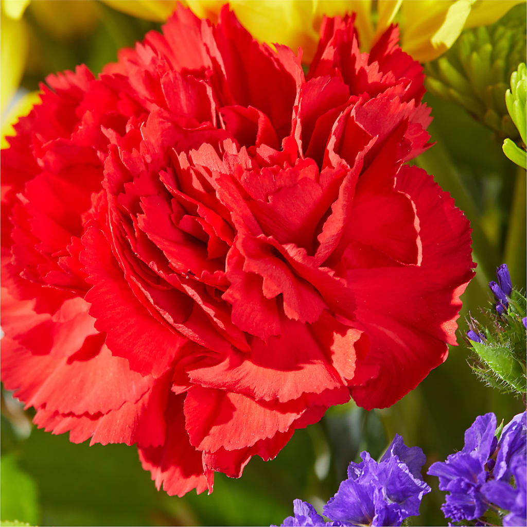 Brighter Days Bouquet – BAYSORE'S FLOWER SHOP LLC, Mason OH