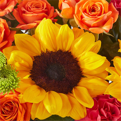 Sun-drenched Blooms Box Bouquet – BAYSORE'S FLOWER SHOP LLC, Mason OH