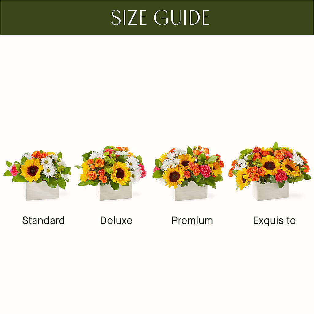 Sun-drenched Blooms Box Bouquet – BAYSORE'S FLOWER SHOP LLC, Mason OH