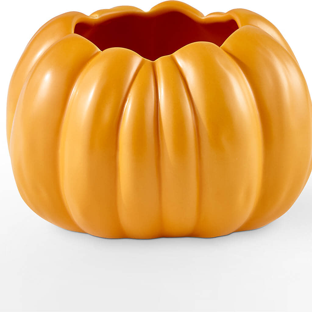 Golden Gourd Pumpkin Bouquet – BAYSORE'S FLOWER SHOP LLC, Mason OH