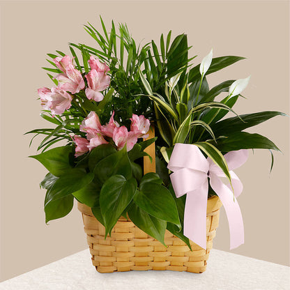 Living Spirit Dishgarden – BAYSORE'S FLOWER SHOP LLC, Mason OH