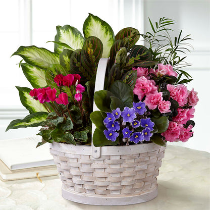 Peaceful Garden Planter – BAYSORE'S FLOWER SHOP LLC, Mason OH