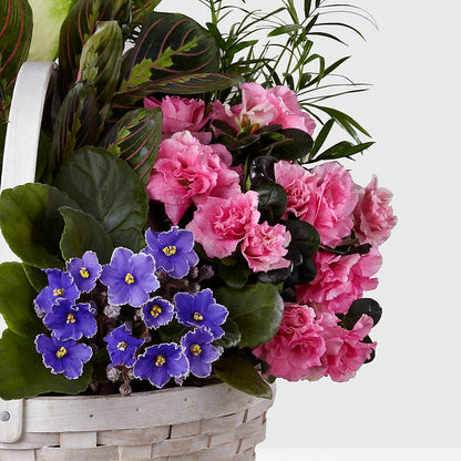 Peaceful Garden Planter – BAYSORE'S FLOWER SHOP LLC, Mason OH