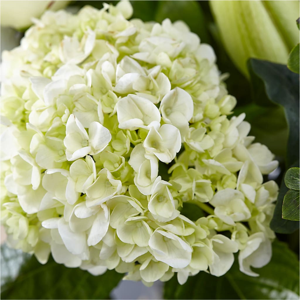 Classic Ivory – A Florist Original – BAYSORE'S FLOWER SHOP LLC, Mason OH