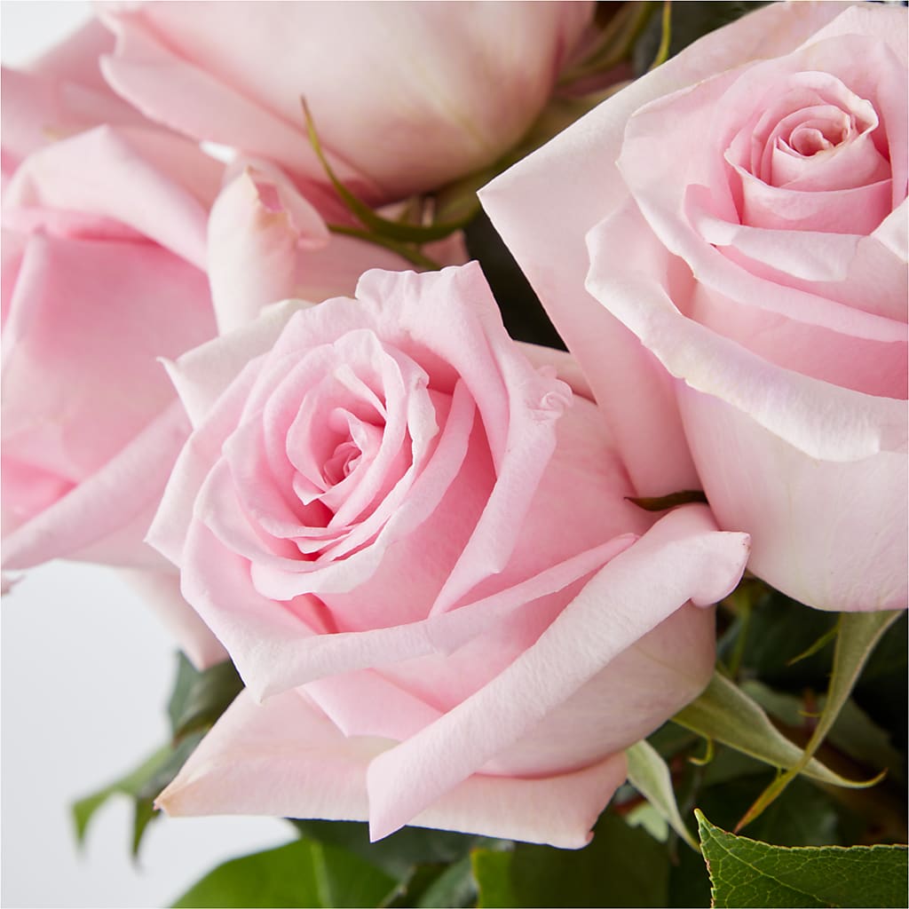Picture Perfect Pink Rose Bouquet – BAYSORE'S FLOWER SHOP LLC, Mason OH
