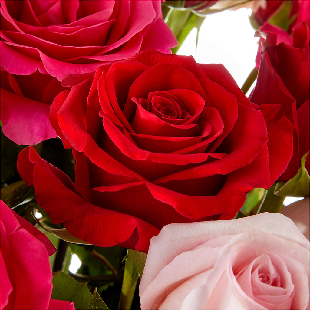 Love Notes Rose Bouquet – BAYSORE'S FLOWER SHOP LLC, Mason OH