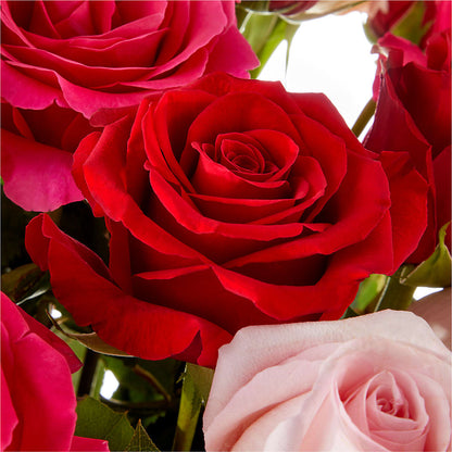 Love Notes Rose Bouquet – BAYSORE'S FLOWER SHOP LLC, Mason OH