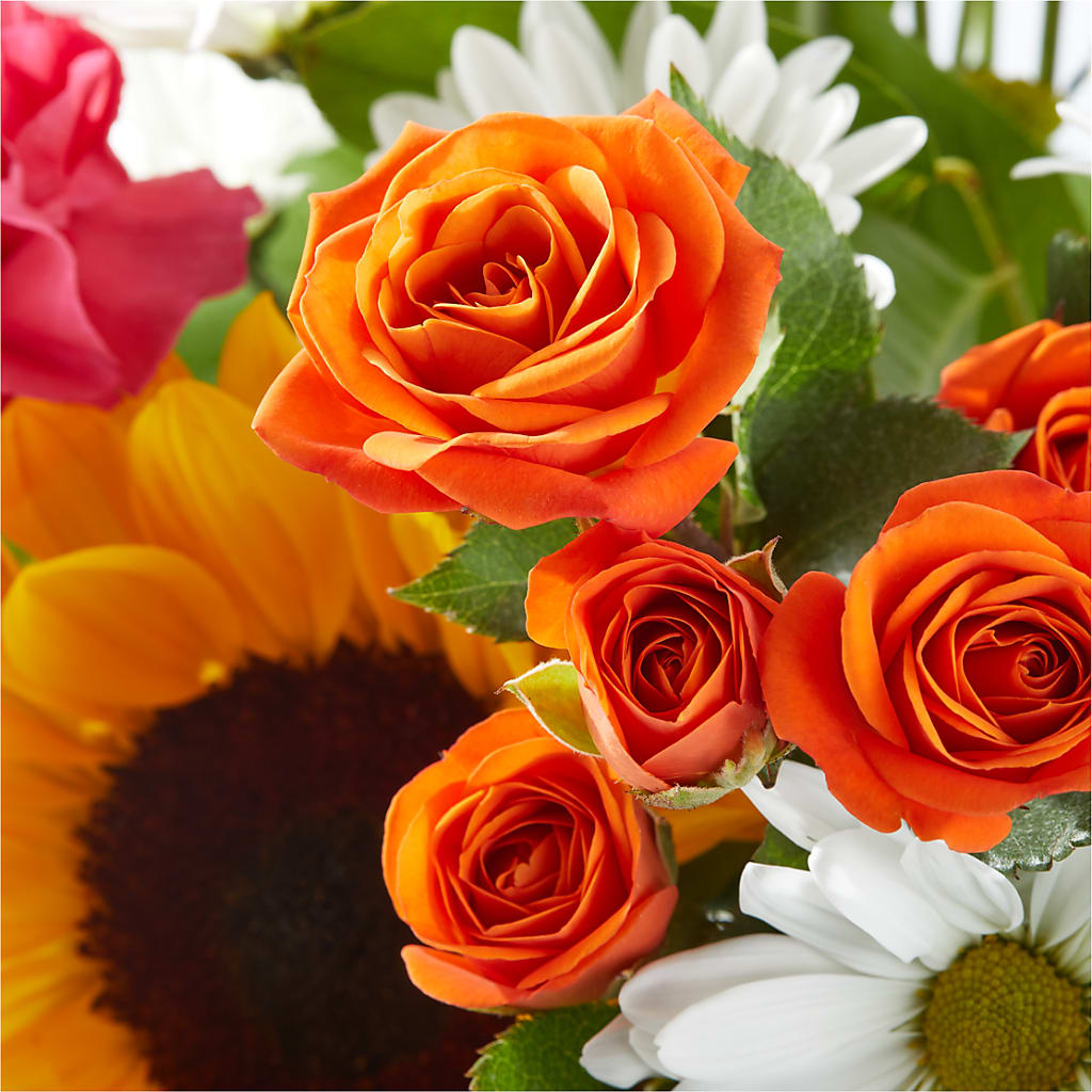 Sun-drenched Blooms Bouquet – BAYSORE'S FLOWER SHOP LLC, Mason OH