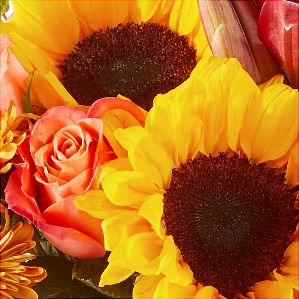 Acorn Lane Bouquet – BAYSORE'S FLOWER SHOP LLC, Mason OH
