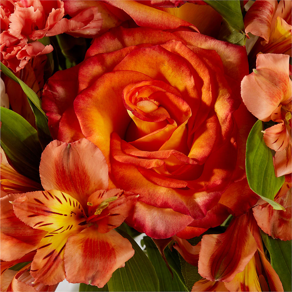 Apricot Glow Bouquet – BAYSORE'S FLOWER SHOP LLC, Mason OH