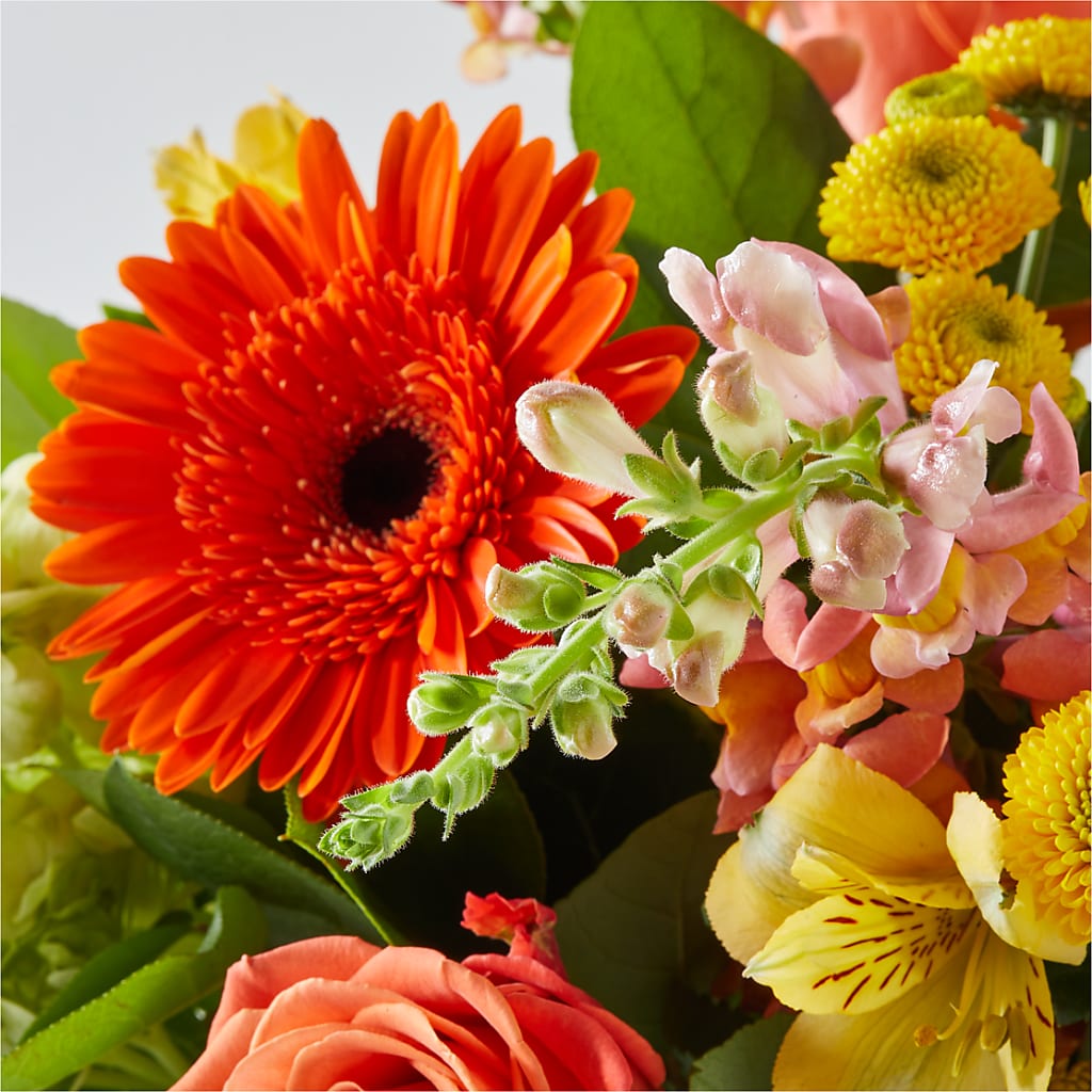Autumn Sunshine Bouquet – BAYSORE'S FLOWER SHOP LLC, Mason OH