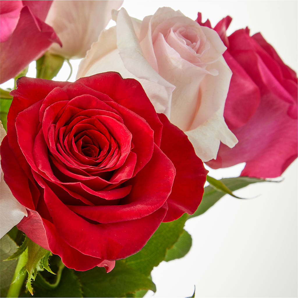 Charming Rose Bouquet – BAYSORE'S FLOWER SHOP LLC, Mason OH