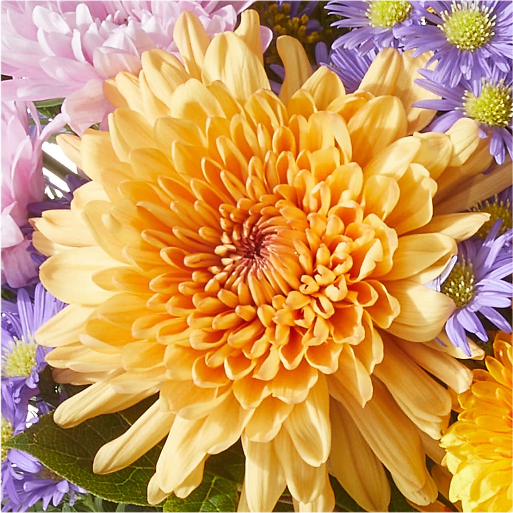 Countryside Bouquet – BAYSORE'S FLOWER SHOP LLC, Mason OH