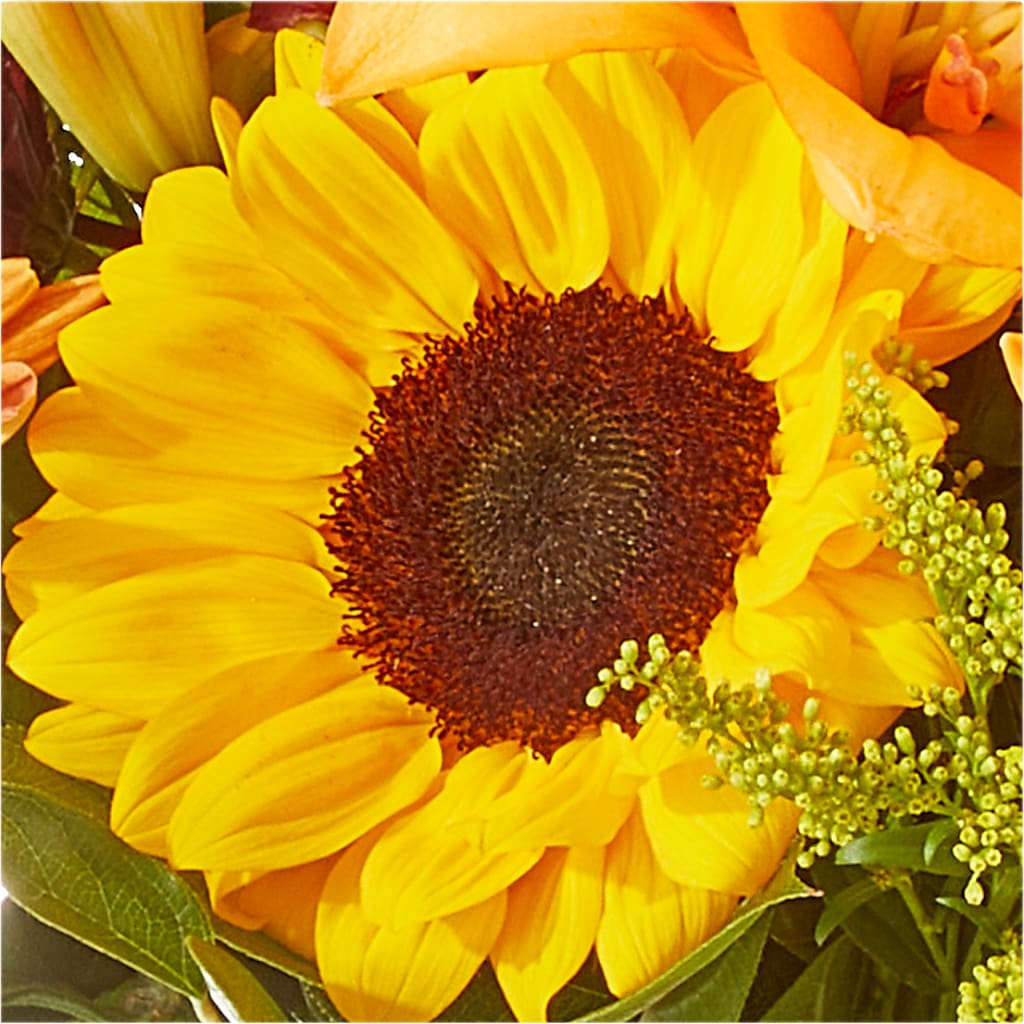 Seasons Change Bouquet – BAYSORE'S FLOWER SHOP LLC, Mason OH