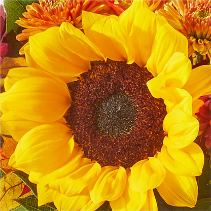 Sunny Side Bouquet – BAYSORE'S FLOWER SHOP LLC, Mason OH