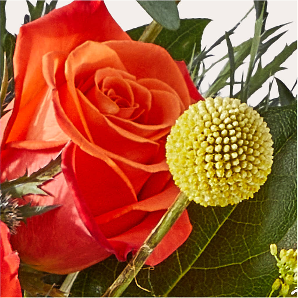 Disco Bouquet – BAYSORE'S FLOWER SHOP LLC, Mason OH