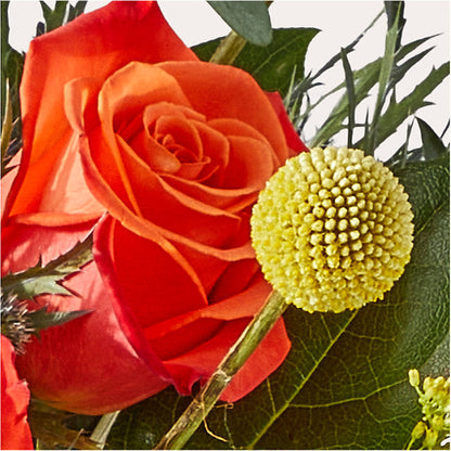 Disco Bouquet – BAYSORE'S FLOWER SHOP LLC, Mason OH